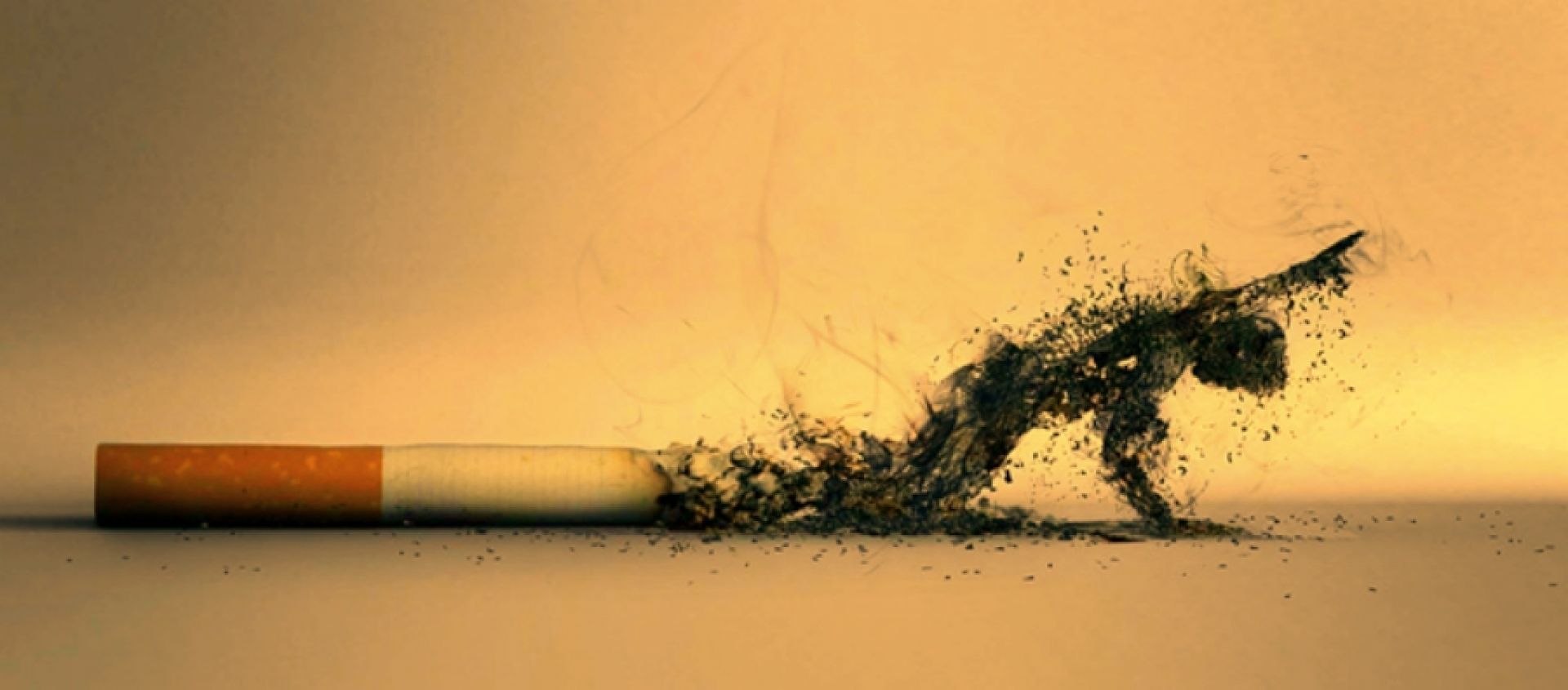 Μετεκπαιδευτικά μαθήματα &quot;Κάπνισμα - Πρόληψη Υγείας&quot;. Περίληψη ομιλίας: «Οι καρδιοπάθειες και η επίδραση του καπνίσματος σήμερα»