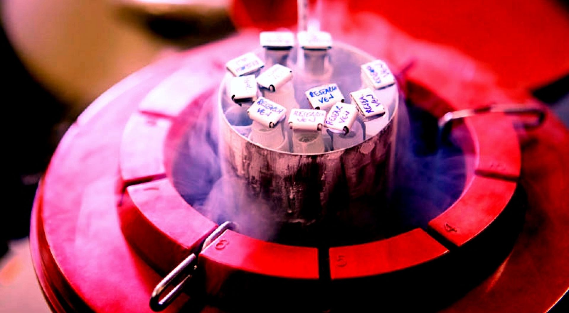 &Delta;&iota;&alpha;&tau;ή&rho;&eta;&sigma;&eta; &tau;&eta;&sigmaf; &gamma;&omicron;&nu;&iota;&mu;ό&tau;&eta;&tau;&alpha;&sigmaf; &kappa;&alpha;&iota; &tau;&eta;&sigmaf; &alpha;&nu;&alpha;&pi;&alpha;&rho;&alpha;&gamma;&omega;&gamma;&iota;&kappa;ή&sigmaf; &iota;&kappa;&alpha;&nu;ό&tau;&eta;&tau;&alpha;&sigmaf; &sigma;&epsilon; &alpha;&sigma;&theta;&epsilon;&nu;&epsilon;ί&sigmaf; &pi;&omicron;&upsilon; &alpha;&nu;&tau;&iota;&mu;&epsilon;&pi;&omega;&pi;ί&zeta;&omicron;&upsilon;&nu; &gamma;&omicron;&nu;&alpha;&delta;&omicron;&tau;&omicron;&xi;&iota;&kappa;έ&sigmaf; &theta;&epsilon;&rho;&alpha;&pi;&epsilon;ί&epsilon;&sigmaf;