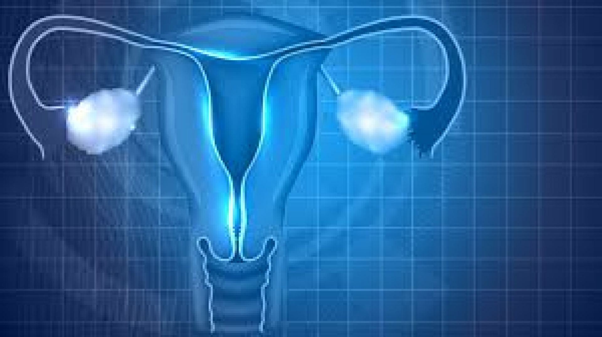 2ο Εκπαιδευτικό σεμινάριο ενδοσκοπικής χειρουργικής γυναικείου γεννητικού συστήματος