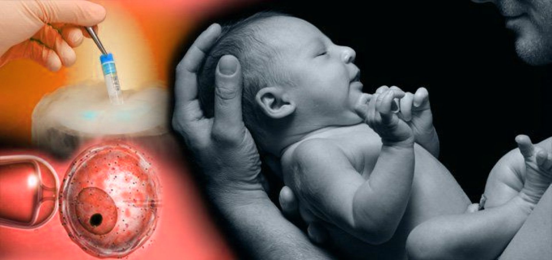 Μεταθανάτια ανάκτηση σπέρματος: μια αναπαραγωγική επανάσταση